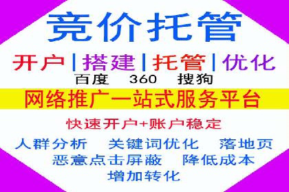 案例分析：SEM广告助力电商行业突破